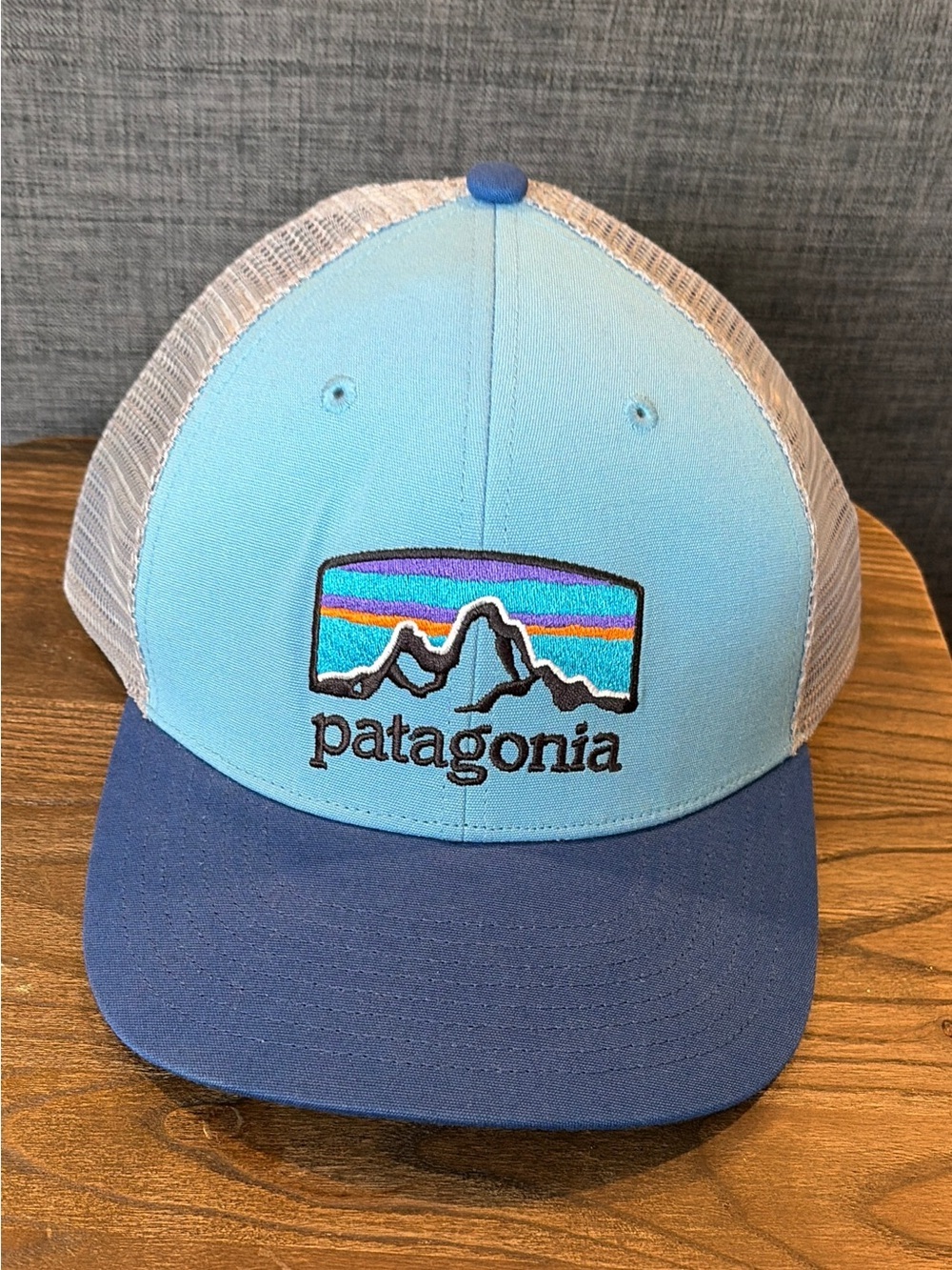 NWT Patagonia Horizon Trucker Hat one size